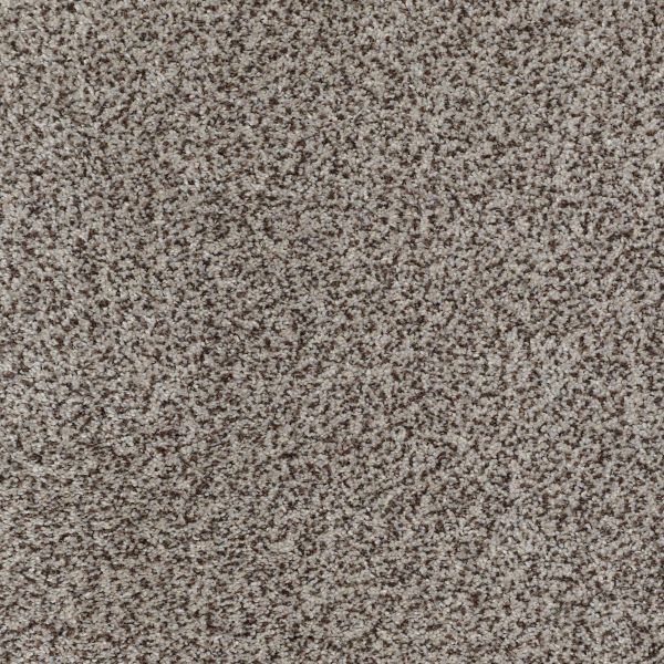 SHAW FLOORS PET PERFECT SILVER CLOUD Collection