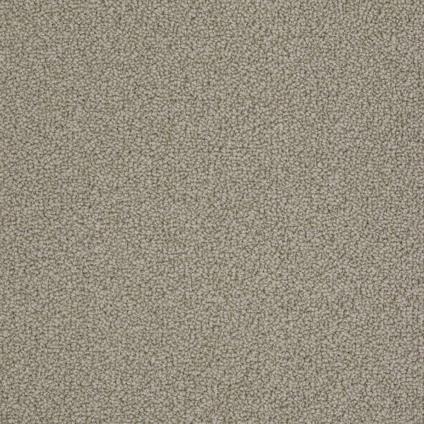 TUFTEX ON POINT TAUPESTONE Collection
