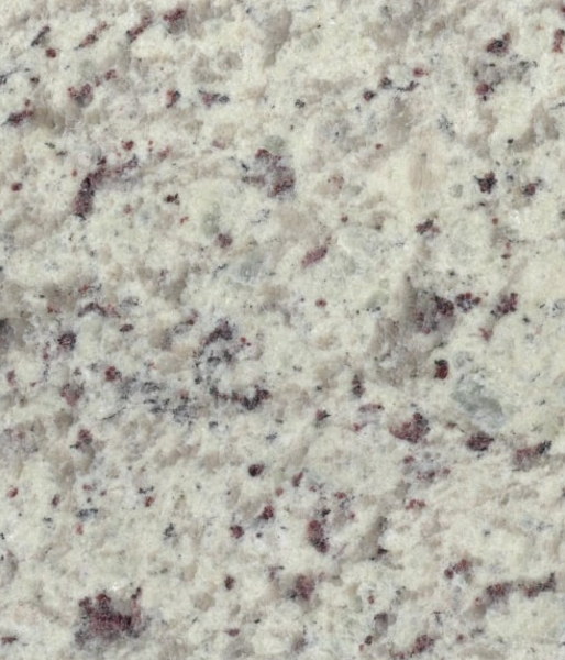 WHITE ROSE Collection