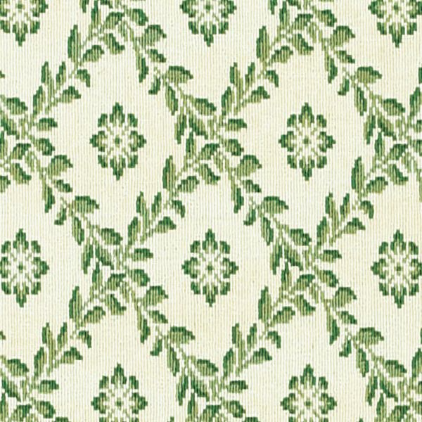 Tramore Evergreen on White