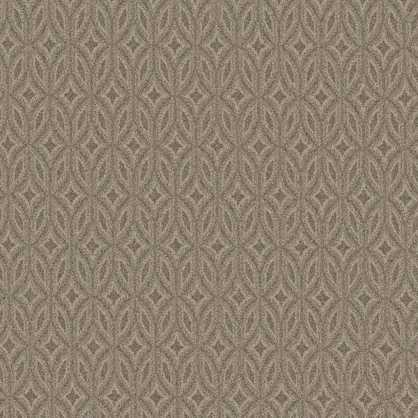 Enlightened TOASTY GRAY