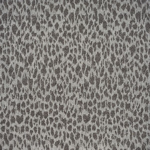Cheetah CARBON