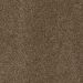 SHAW FLOORS PERSPECTIVE PATH BLACK WALNUT Collection