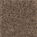 Mohawk Completely Composed (f) Mineral Beige (f) Collection