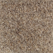 Mohawk Completely Composed (f) Cobble Path (f) Collection