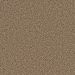 Dream Weaver Broadcast Honey Beige Collection