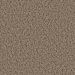 Dream Weaver Toast Of The Town Vellum Collection