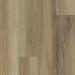 Shaw Floorte Pro Endura Plus Almond Oak Collection