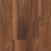 Shaw Floorte Pro Endura Plus Amber Oak Collection