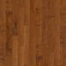Shaw Epic Plus Coral Springs Surfside Collection
