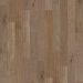 Shaw Epic Plus Coral Springs Oceanside Collection