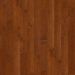 Shaw Epic Plus Coral Springs Burnside Collection