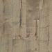 Shaw Epic Plus Reflections Maple Vista Collection
