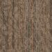 Philadelphia Awestruck Amaze Bewilder Collection