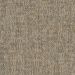 Philadelphia Beyond Basic Crazy Smart Astute Collection