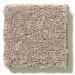 Shaw Solid Choice Pebble Path Collection