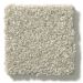 Shaw Solid Choice Desert Light Collection