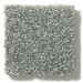 Shaw Solid Choice Arctic Shadow Collection