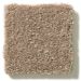 Shaw Solid Choice Cork Collection