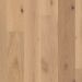 Shaw Castlewood Oak Dynasty Collection