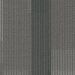 Pentz Amplify Plank Ocean Tropic Collection