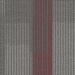 Pentz Amplify Plank Crimson Collection