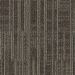Aladdin Get Moving Timber Bark Collection