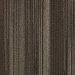 Aladdin Translations Grounded Structure Lateral Surface Collection