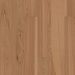 Shaw Epic/Repel Exploration Hickory Dune Collection