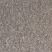 Southwind Starlight Bravado Collection