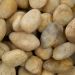 Pebbles Collection