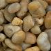 Pebbles Collection
