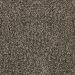 Lifetime Harmony Metallic Collection