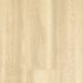 Mohawk Revwood Premier Miramar Shores Palm Tree Oak Collection