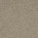 Phenix Balboa Palm Bark Collection