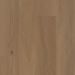 COREtec PRO SAN MARINO ELM Collection