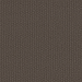 Shaw Floors Perspective Path Black Walnut Collection
