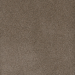 Dream Weaver Serene III Shellbark Collection