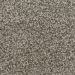 Marquis Twilight Zone Birch Bark Collection