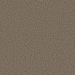Shaw Floors Pet Perfect Remixed Classic Dry Creek Collection