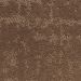 Dixie Classic Demeanor Brevity Collection