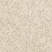Mohawk Diffurent Choice I Canvas Cloth Collection
