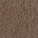 Tuftex Luxe Feel II Pebble Path Collection