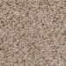 Tuftex Sumptuous I Toasted Grain Collection