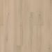 MOHAWK SOLID TECH PLUS EASTBROOK SHOALS CONSTANCE Collection