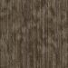 PENTZ ANIMATED VIGOROUS Collection