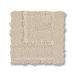 SHAW FLOORS PET PERFECT REMIXED CLASSIC DRY CREEK Collection