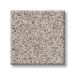 TUFTEX SUMPTUOUS I VALLEY Collection