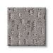 TUFTEX AMBITIOUS PEWTER Collection