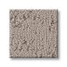TUFTEX DISCOVER PEBBLE PATH Collection